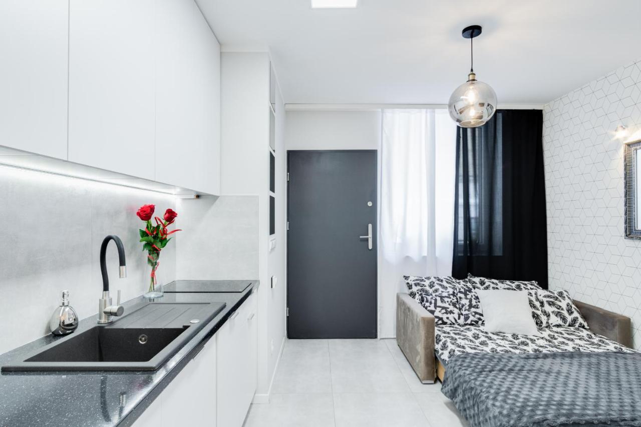 Crystal Apartment Katowice IV 外观 照片