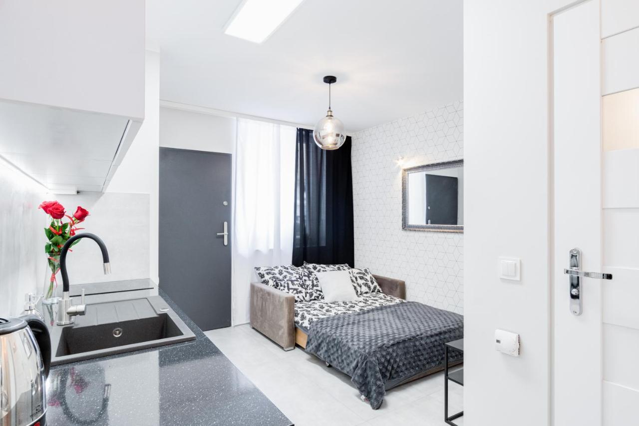Crystal Apartment Katowice IV 外观 照片