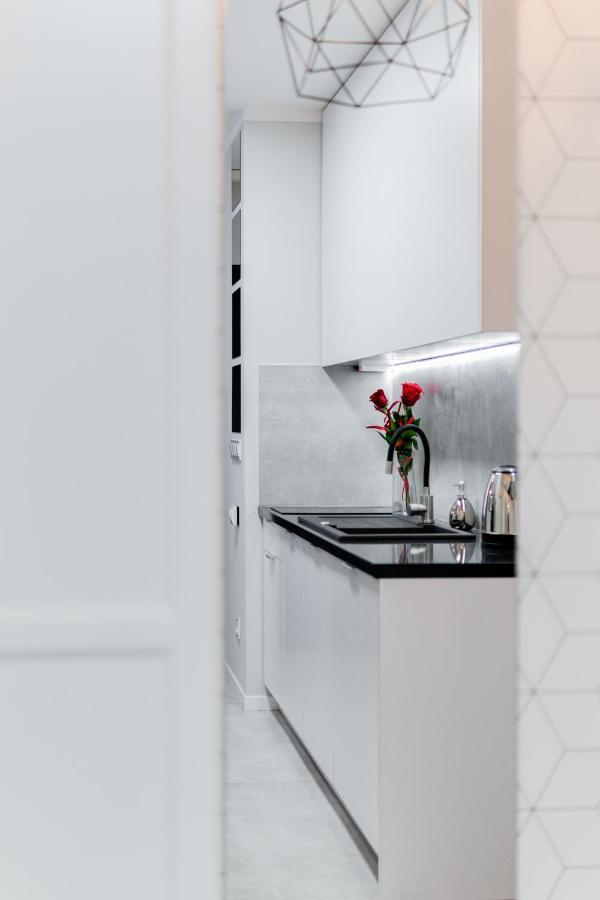 Crystal Apartment Katowice IV 外观 照片